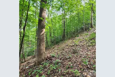 0 Switchback Road, Lake Lure, NC 28746 - Photo 2