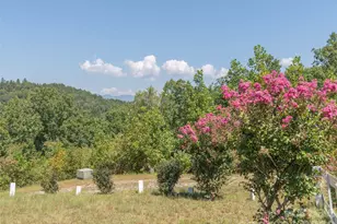 1120 Jacobs Branch Rd, Franklin, NC 28734 - Photo 28