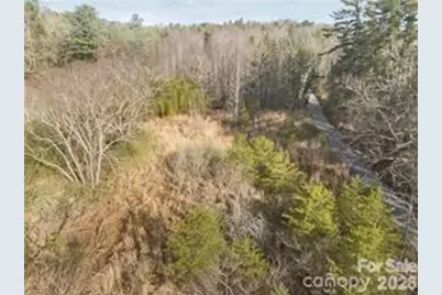 425 Nelson Valley Lane, Hendersonville, NC 28739 - Photo 8