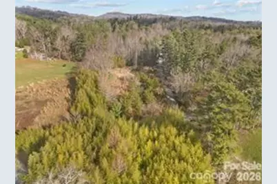 425 Nelson Valley Lane, Hendersonville, NC 28739 - Photo 10