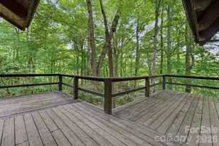 429 Biodome Dr, Waynesville, NC 28785 - Photo 40
