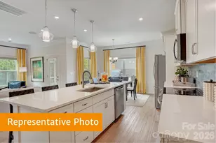 4236 Ruth Crk Ct, Charlotte, NC 28216 - Photo 4