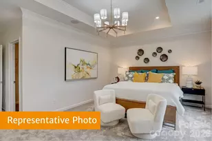 4236 Ruth Crk Ct, Charlotte, NC 28216 - Photo 10