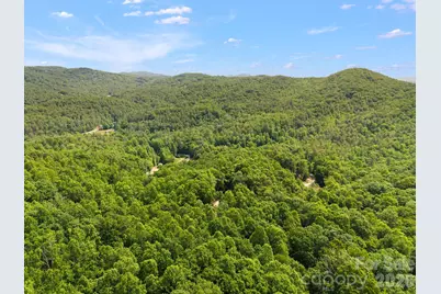 145 Hickory Tree Lane, Hendersonville, NC 28739 - Photo 8