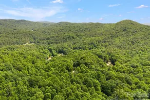 145 Hickory Tree Ln, Hendersonville, NC 28739 - Photo 8