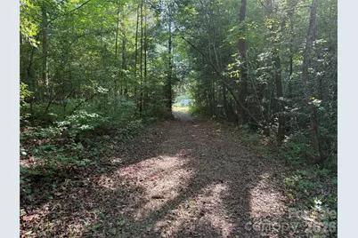 Tbd Murray Manor Road, Rockingham, NC 28379 - Photo 6