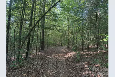 Tbd Murray Manor Road, Rockingham, NC 28379 - Photo 12