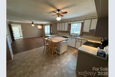 419 E Pigg Street, Pageland, SC 29728 - Photo 8