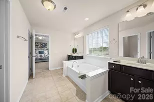 17516 Austins Creek Dr, Charlotte, NC 28278 - Photo 12