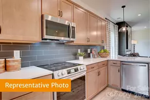 4231 Ruth Crk Ct, Charlotte, NC 28216 - Photo 6