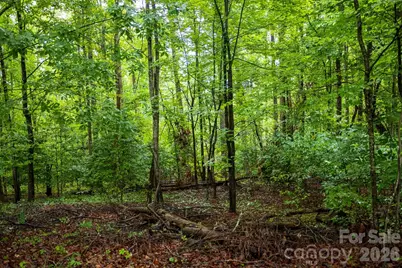 1225 Moss Road, Rutherfordton, NC 28139 - Photo 2