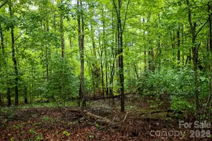 1225 Moss Rd, Rutherfordton, NC 28139 - Photo 2