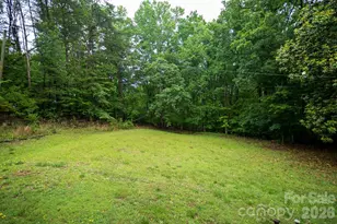 1225 Moss Rd, Rutherfordton, NC 28139 - Photo 6