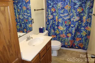 3505 Nelson Lane, Morganton, NC 28655 - Photo 24