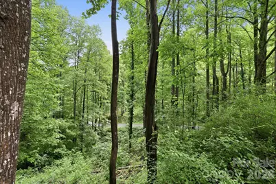182 Saw Branch Road, Candler, NC 28715 - Photo 34