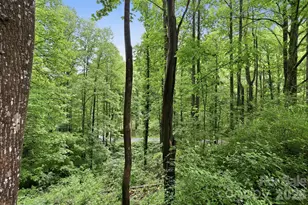 182 Saw Branch Rd, Candler, NC 28715 - Photo 34