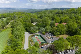 305 Piney Knoll Ln, Hendersonville, NC 28739 - Photo 48