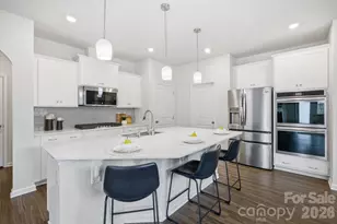 234 Hamptons Cove Rd, Troutman, NC 28166 - Photo 6