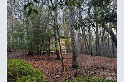 675 Fox Run Lane, Tryon, NC 28782 - Photo 32
