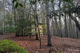 675 Fox Run Ln, Tryon, NC 28782 - Photo 32
