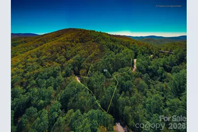58 & 64 Flora Rose Trail #6A & 6B, Asheville, NC 28803 - Photo 22