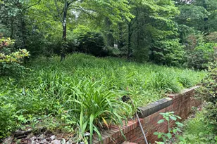 609 Valley Rd, Spruce Pine, NC 28777 - Photo 8