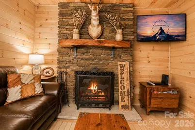 319 Blue Ridge Parkway #53, Bryson City, NC 28713 - Photo 6