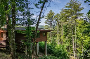 319 Blue Ridge Pkwy, Bryson City, NC 28713 - Photo 16