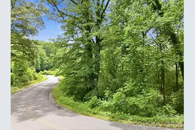 Tbd Tract C Pole Miller Extension #Tract C, Brevard, NC 28712 - Photo 22