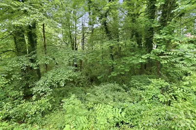 Tbd Tract C Pole Miller Extension #Tract C, Brevard, NC 28712 - Photo 24