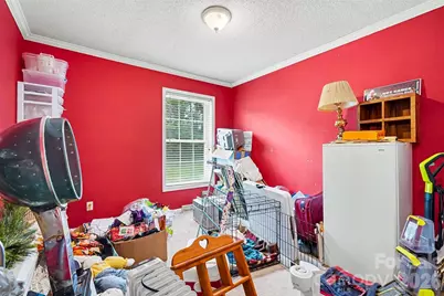 511 Salem Church Road, Maiden, NC 28650 - Photo 46
