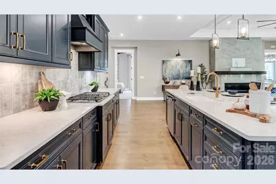 221 Marina Bay Trail, Locust, NC 28097 - Photo 2