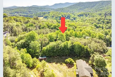99999 Suddreth Lane, Candler, NC 28715 - Photo 1