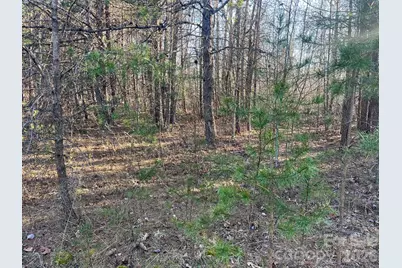 Tbd Southern Way, Nebo, NC 28761 - Photo 8