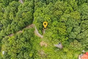 553 Paradise Mountain Rd, Canton, NC 28716 - Photo 30