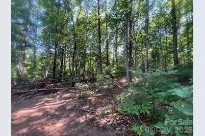 Tbd Lotus Drive #19, Nebo, NC 28761 - Photo 10