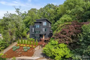 53 Buchanan Pl, Asheville, NC 28801 - Photo 2