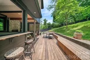 53 Buchanan Pl, Asheville, NC 28801 - Photo 44