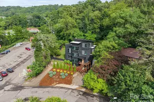 53 Buchanan Pl, Asheville, NC 28801 - Photo 46