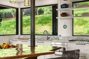 53 Buchanan Pl, Asheville, NC 28801 - Photo 8