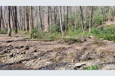 112 Rainbow Trout Road, Burnsville, NC 28714 - Photo 18
