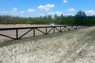 8520 Stock Horse Trl, Windsor, SC 29856 - Photo 2