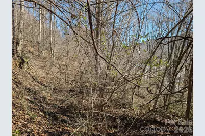 00 Great Smoky Mountain Expy Highway, Waynesville, NC 28786 - Photo 6