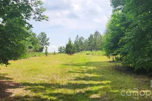 4859 Camp Creek Rd, Lancaster, SC 29720 - Photo 40