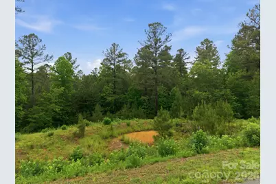 1626 Lake Vista Drive NE, Connelly Springs, NC 28612 - Photo 10