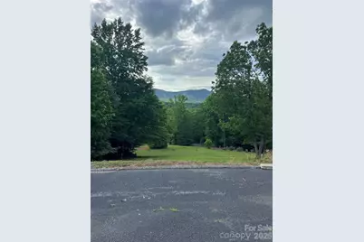 354 Woodland Drive, Columbus, NC 28722 - Photo 4