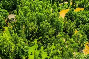 243 Poplar Ln, Pisgah Forest, NC 28712 - Photo 48