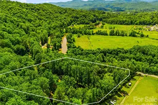 243 Poplar Ln, Pisgah Forest, NC 28712 - Photo 4