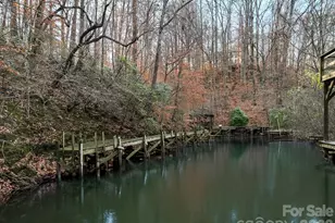1090 N Saunders Dr, Catawba, NC 28609 - Photo 42