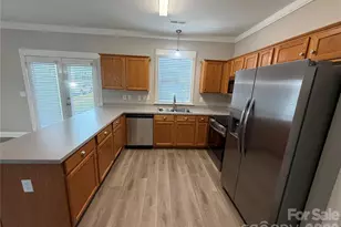 11223 Blue Cedar Ln, Charlotte, NC 28277 - Photo 10